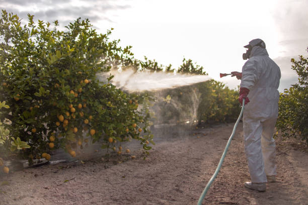 Holden Heights, FL Pest Control Company
