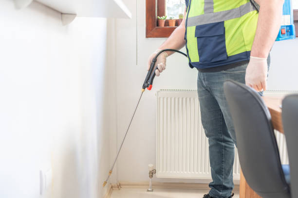 Best Mosquito Control Services  in Holden Heights, FL