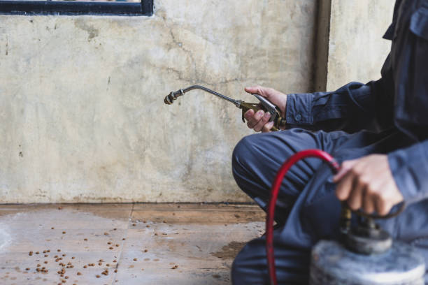 Pest Control Cost in Holden Heights, FL