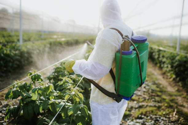 Best Mosquito Control Services  in Holden Heights, FL